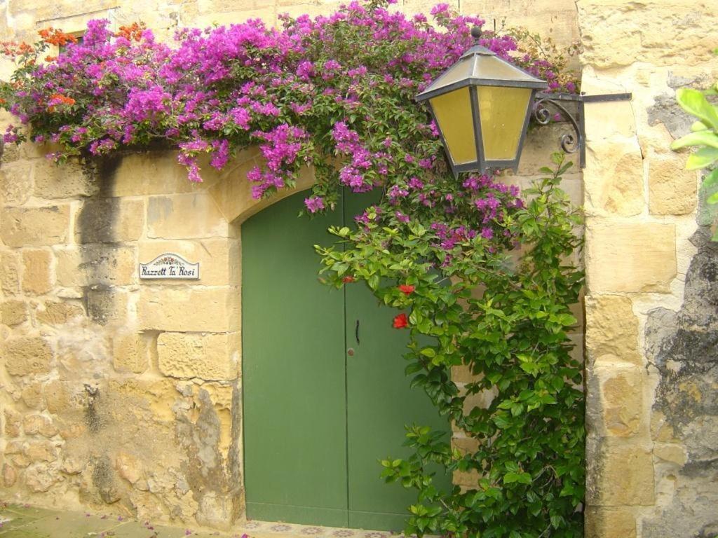 "Steves Villas" Villa Ta Rosi Xagħra Rum bild