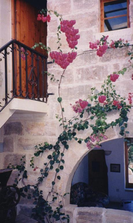 "Steves Villas" Villa Ta Rosi Xagħra Exteriör bild